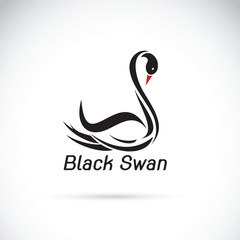Vector of a black swan on white background. Wild Animals.