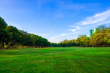 Fototapeta na wymiar Green meadow field in city park blue sky