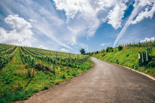 Vineyards in Luxembourg