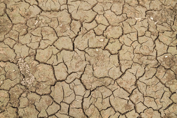 Layer of soil or ground