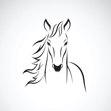 Vector of a horse on white background. Wild Animals.