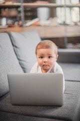 Portrait of cute baby boy using laptop on the couch at home