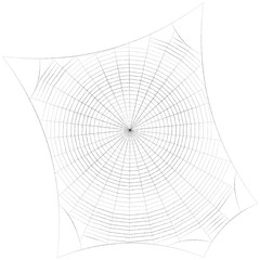 Obraz premium Spiderweb. Isolated on white background. Sketch illustration.