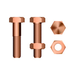 Metallic bolt and nut.