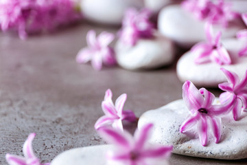 Obraz na płótnie Canvas Spa stones and hyacinth on gray table