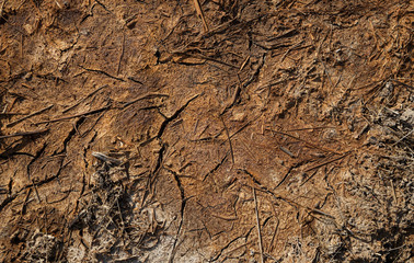Brown abstract background. Dry brown soil with cracks