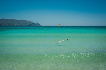 Naklejka premium Windsurfer on the turquoise water, Elafonisi pink beach Greece, Crete