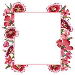 Wildflower carnation flower frame in a watercolor style isolated.