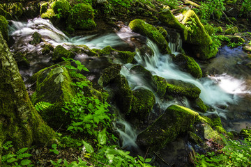 Spring In The Smoky Mountains. Creek rushes over a ledge covered in lush green vegetation as springtime arrives in the Smokies.