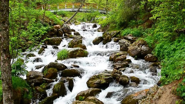 El Değmemiş Doğal Ve Vahşi Su Kaynağı
