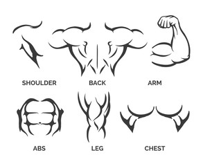 Bodybuilder muscles vector illustration. Healthy and muscular fitness body parts icons - obrazy, fototapety, plakaty