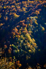 Naklejka na ściany i meble autumn landscape in the mountains