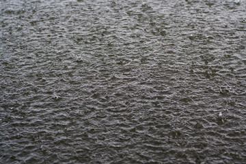 Rain drops on the water