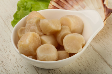 Raw scallops heap
