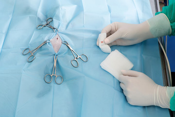 Animal surgery,  Cat operation
