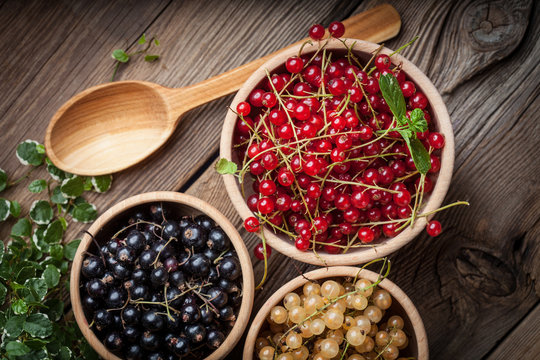 Redcurrant, Blackcurrant, White Currant Fruit.