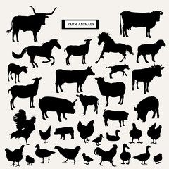 Farm animals on a white background