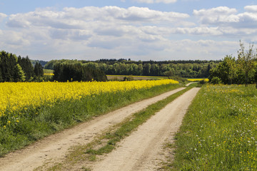 Feldweg auf der Schwäbischen Alb bei Laichingen