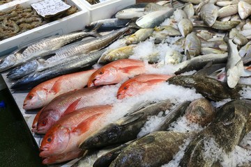 London Fish Market