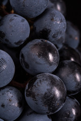 Close up, berries of dark bunch of grape in low light isolated on black background