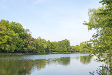 緑豊かな石神井公園（東京都練馬区）