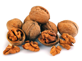 Walnut a shell