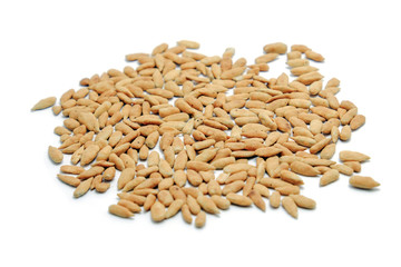 Healthy sun flower seed on white background