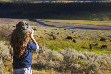 boy looking at buffalo at Yellowstone  - 155078135