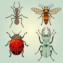 Insects set