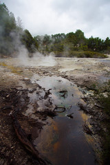 Rotorua thermal sources