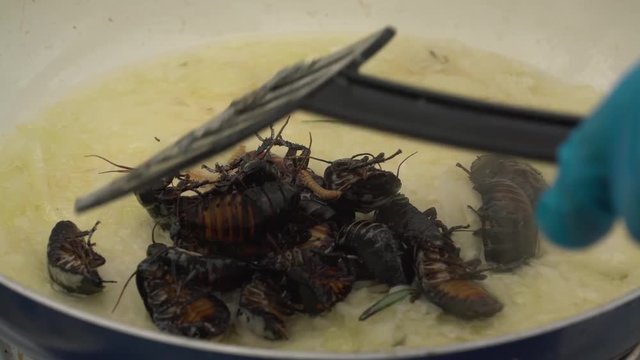 Cooking cockroaches on butter with herbs on a frying pan. Special delicacy for visitors of the gastronomy festival.