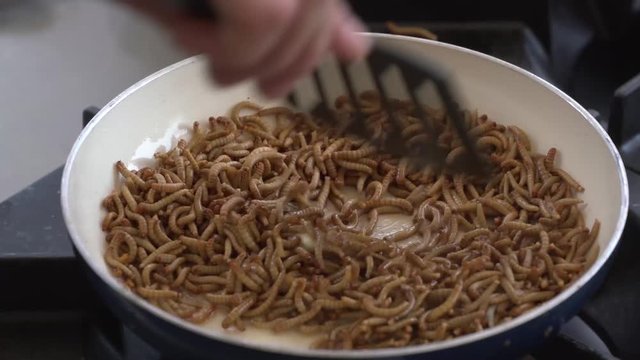 Cooking and frying of flour worms in the pan during gastronomic demonstration