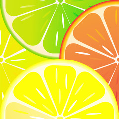 seamless pattern of orange, lemon, lime and grapefruit
