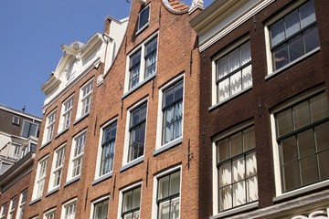 foliage grass and trees