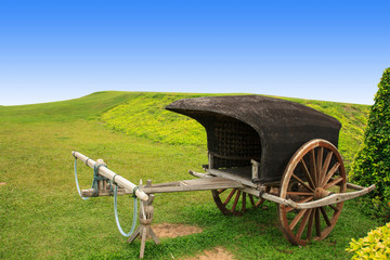 Wooden vintage cart stand on grass field with blue space
