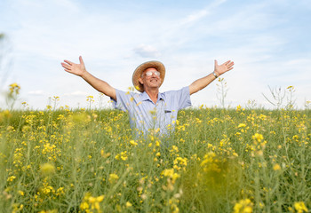 Naklejka na ściany i meble Portrait of senior farmer standing in a rapeseed field with his arms outstretched.