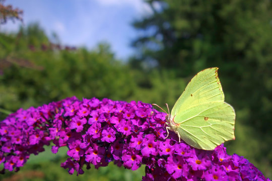 Saugrohr Bilder – Durchsuchen 73 Archivfotos, Vektorgrafiken und Videos ...