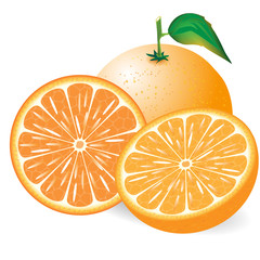 Сomposition of the orange on white background