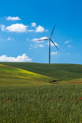 wind turbines in a typical springtime basilicata landscape