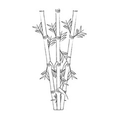 monochrome blurred silhouette of bamboo stems with leaves vector illustration