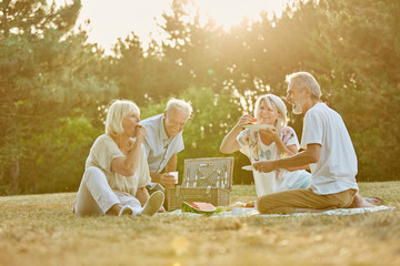 Group of seniors in the park