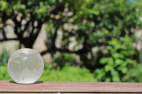 Plan&egrave;te en verre transparente fond arbre vert