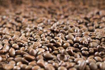 Mixture of different kinds of coffee beans. Coffee Background