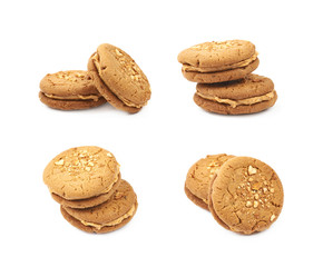 Peanut butter homemade cookie isolated