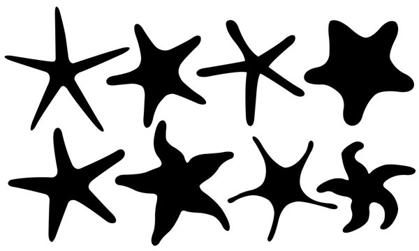 Set of different starfish isolated on white