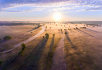 Aerial sunrise with fog at the tree tops in the rural countryside