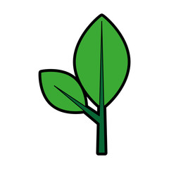 leaf plant isolated icon vector illustration design