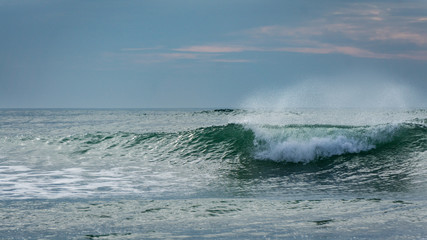 Wave