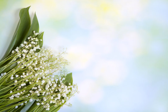 Fresh spring Light, Lilly of the valley flowers and leaves bouquet isolated on on green garden background.