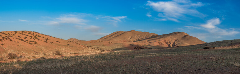 Fototapeta na wymiar majestic prairie with mountains on background at sunny day 